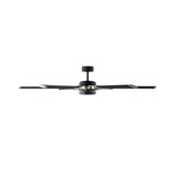Loon LED Ceiling Fan 62", Matte Black with Brushed Steel