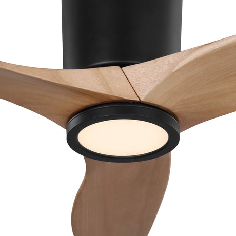 Avocet LED Ceiling Fan 44", Matte Black and Natural Oak