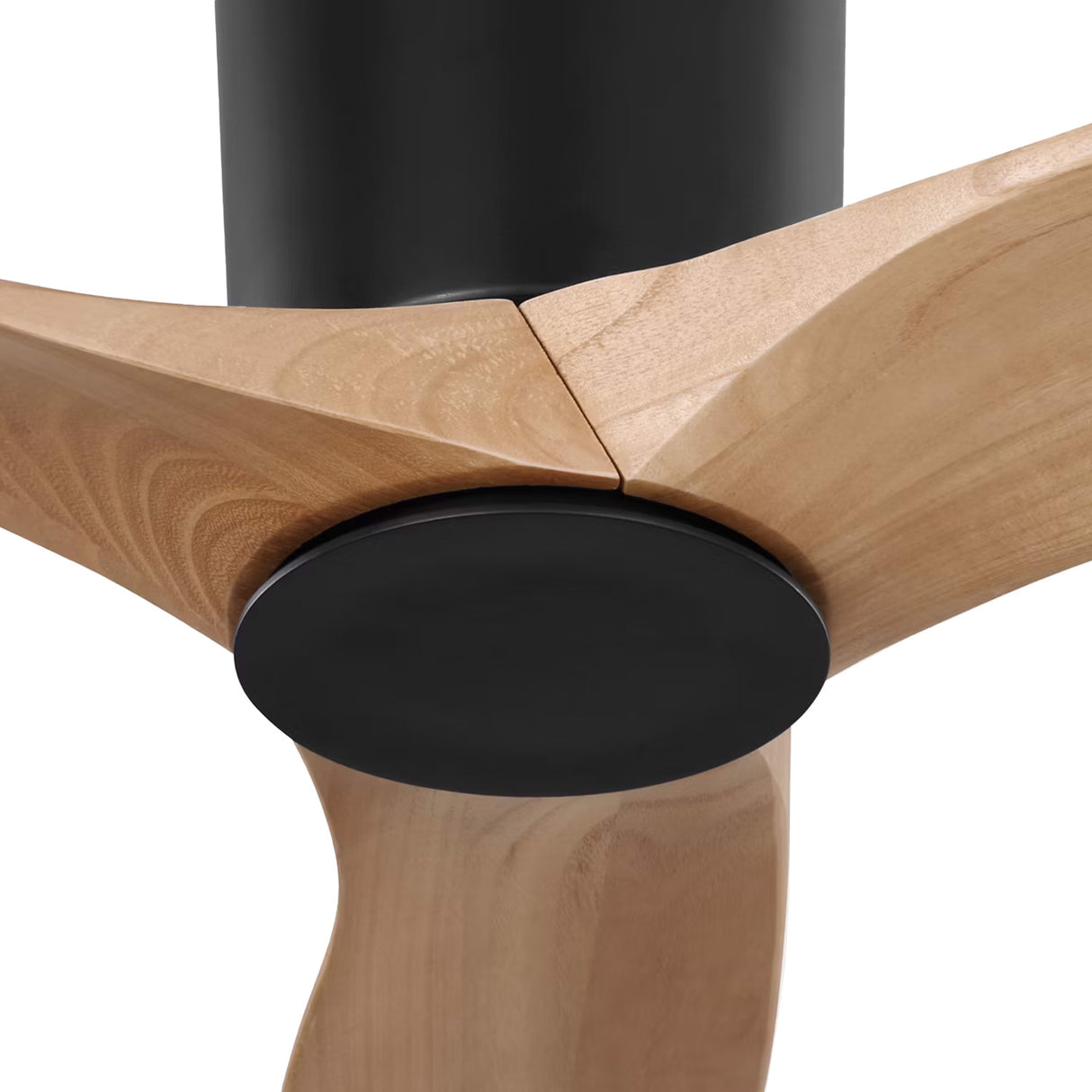 Avocet LED Ceiling Fan 52", Matte Black and Natural Oak