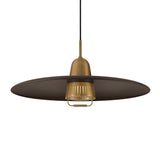 Beryl Pull Down Pendant 25", Bronze and Patina Brass