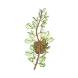 Esme Wall Sconce 19", Soft Brass and Green Glass