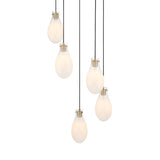 Geneva 5 LED Pendant, Brass and Ombre Frosted Glass