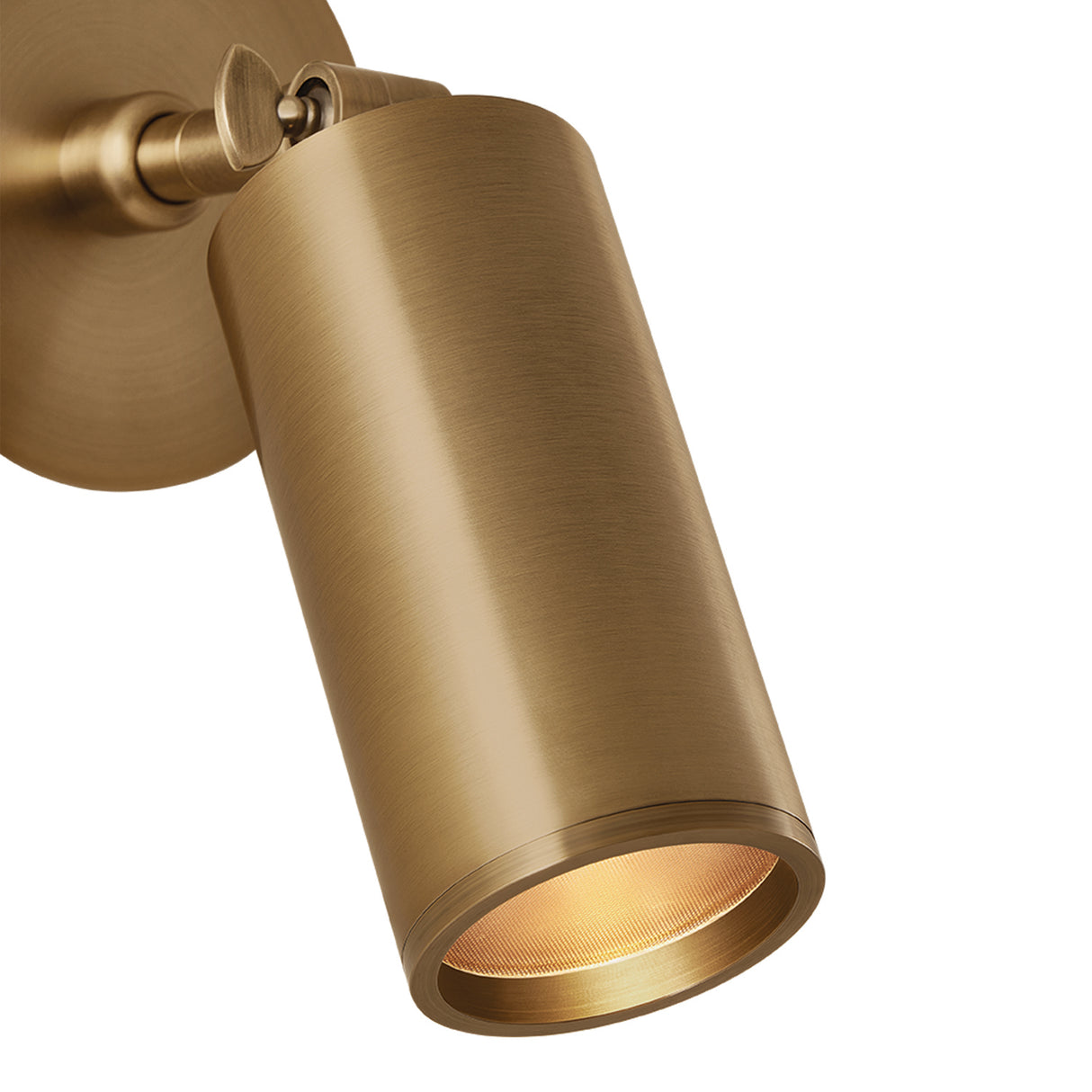 Alcott Adjustable Wall Sconce 9", Patina Brass