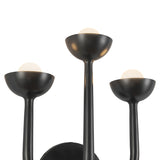 Bettina LED 3 Light Wall Sconce 12", Urban Bronze
