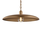 Crawford Large Pendant 19", Patina Brass